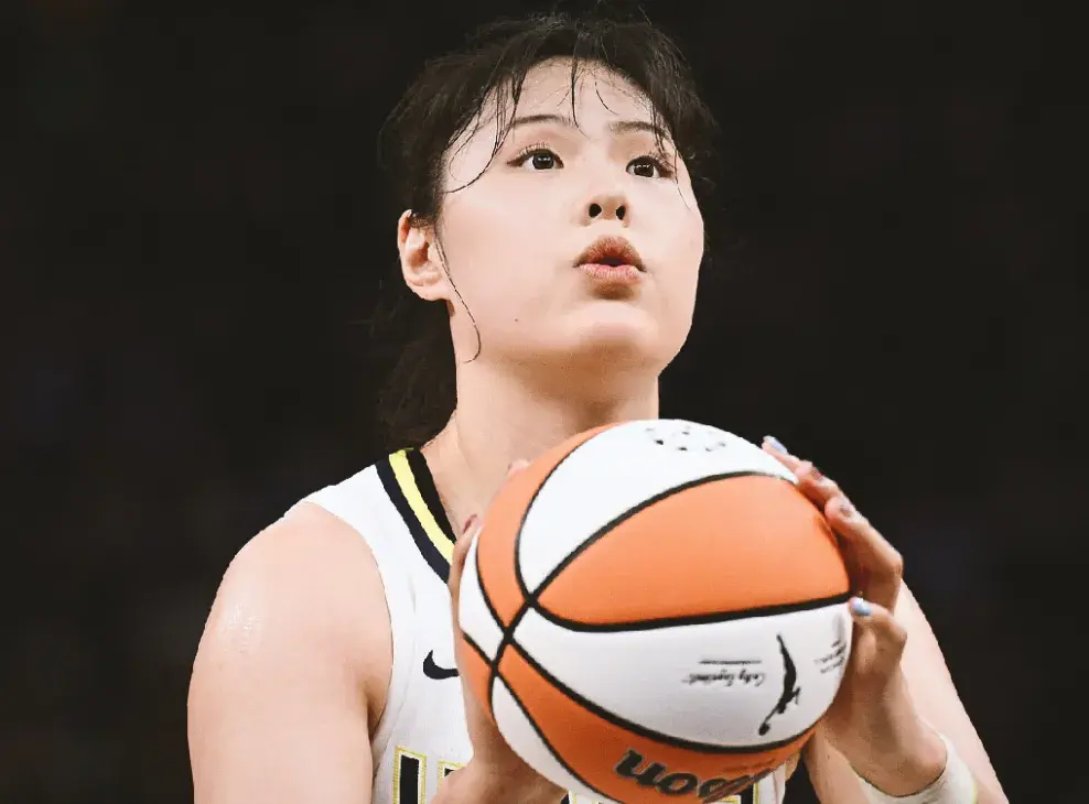 msn, 篮主教练郑 msn, 篮主教练郑